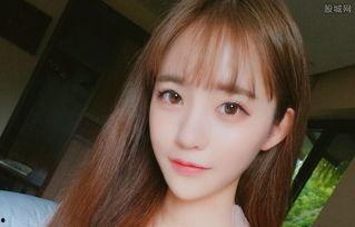 网红黑料有哪些,网络舆论背后的真相与反思