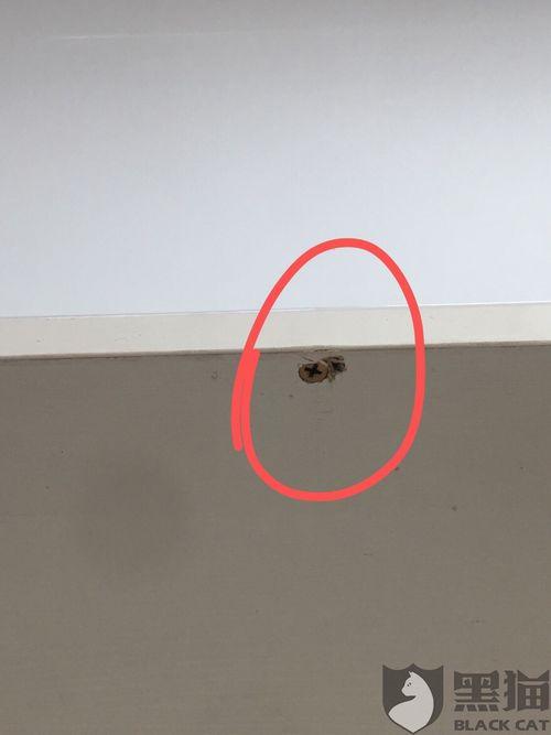 网红电气鼠黑料,黑料背后的真相与反思