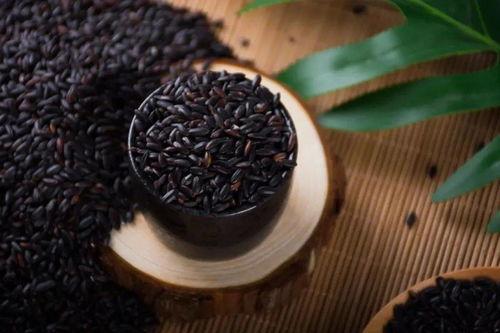 铁豆 网红黑料,真相与争议并存